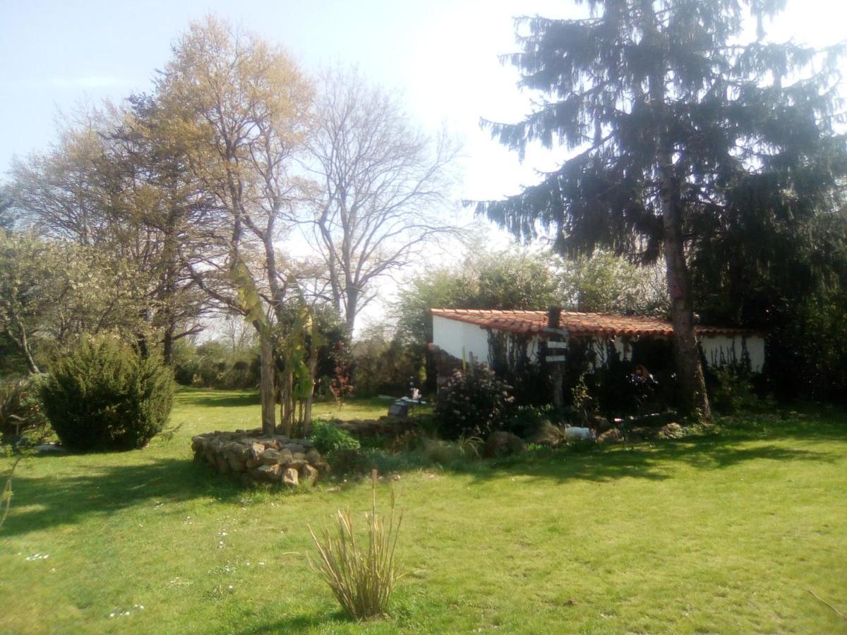 Bed and Breakfast Mas Des Vignes Piscine Chauffee Le Champ-Saint-Pere Exteriér fotografie